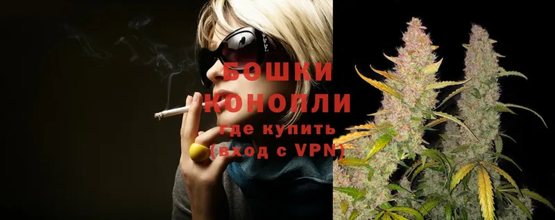 цена   Мурино  МАРИХУАНА THC 21% 